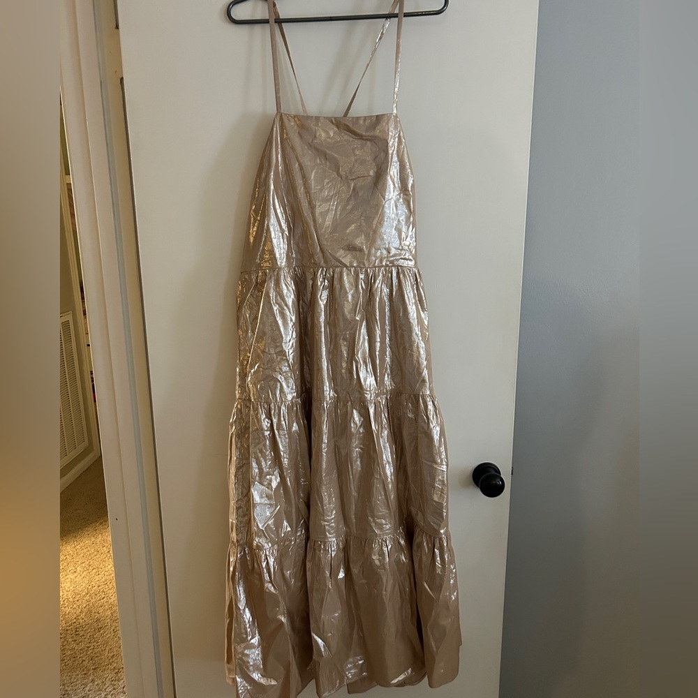 Shimmery Maxi Dress from Gap. Size large